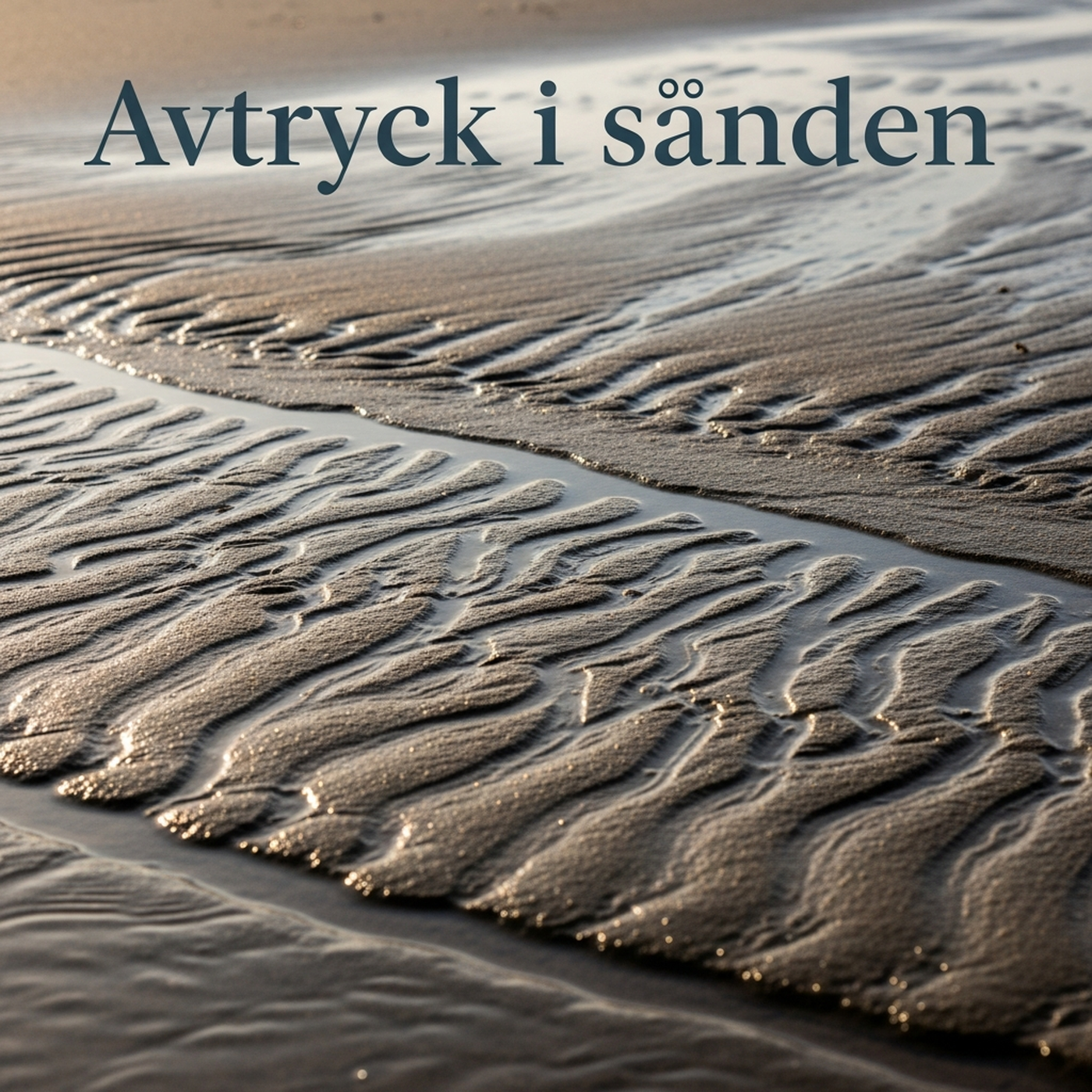 Avtryck i sanden