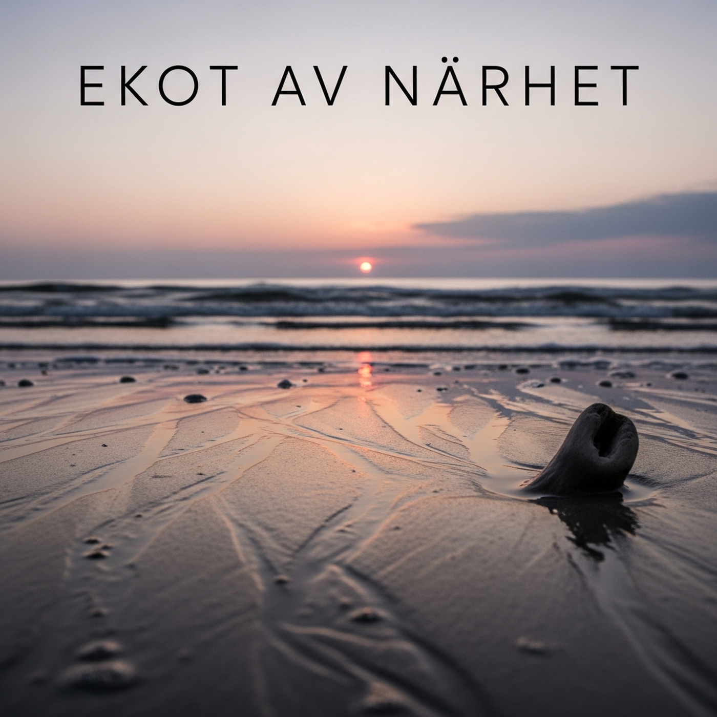 Ekot av Närhet