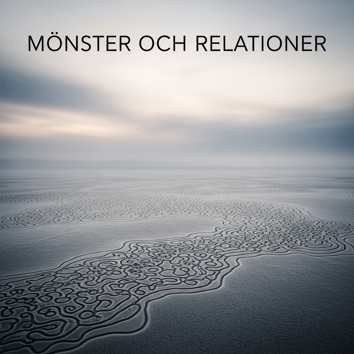 Mönster och Relationer